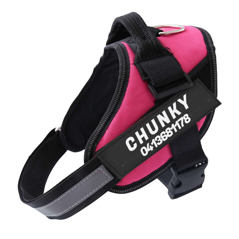 Personalized No-Pull Dog Harness