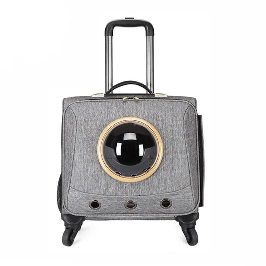 PfotenPilot Travel Capsule