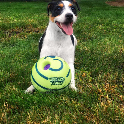 Creative Dog Play Ball With Interactive Functions