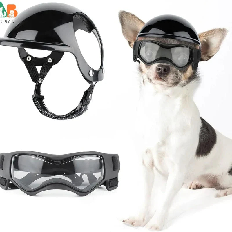 Stylish Dog Helmet with Goggles