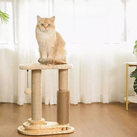 Cat Play And Scratch Lounge