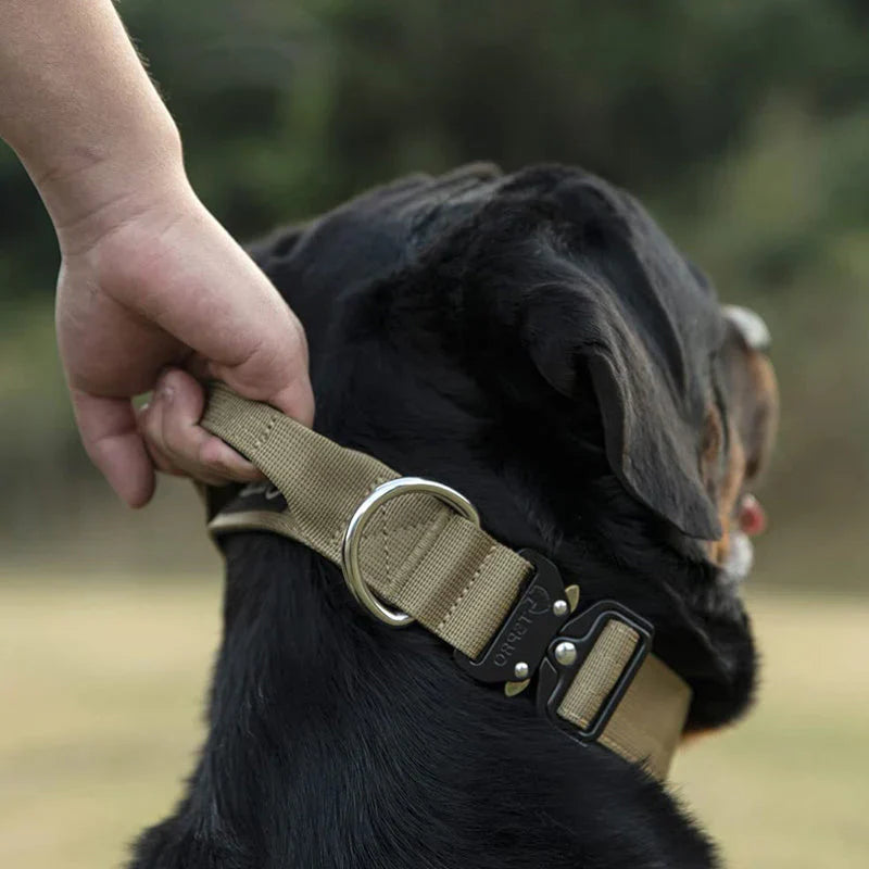 Dog Collar with Handle for Control