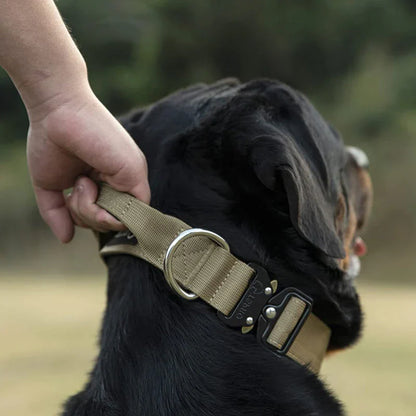 Dog Collar with Handle for Control