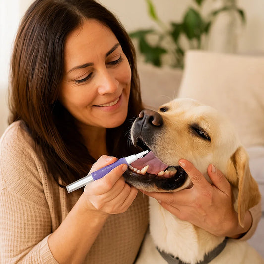 Dental Care Pen for Pets