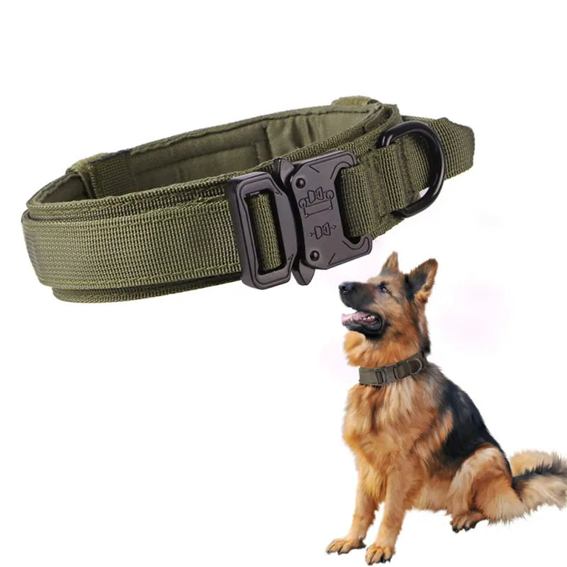 Adjustable Nylon Dog Collar With Robust Click Fastener