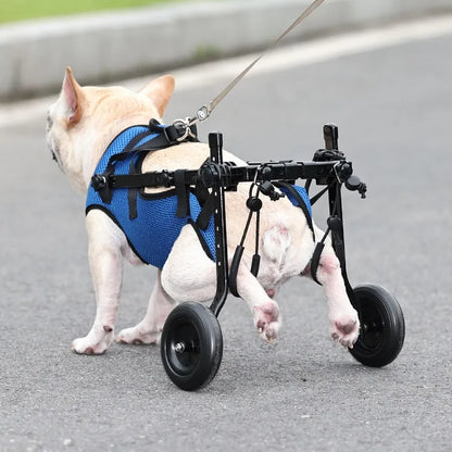 Dog Walking Aid For Cats And Dogs - Wheelchair For Mobility And Independence