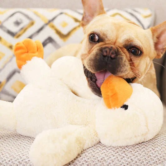 Plush Toy For Dogs - Soft Duck Toy