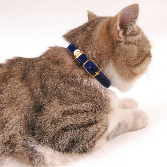 Velours Cat Collar With Golden Buckle - Soft Adjustable And Elegant