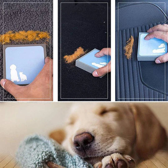 Animal Hair Remover Sponge For Furniture And Car