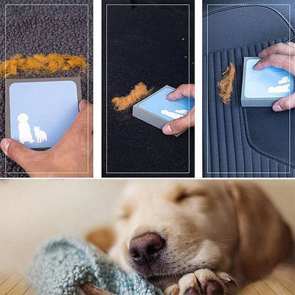 Animal Hair Remover Sponge For Furniture And Car