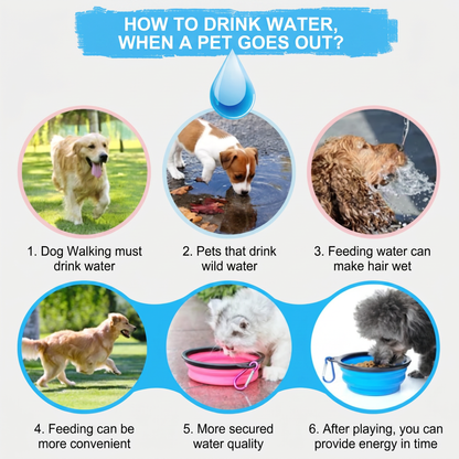 2 - In-1 Portable Water And Food Bottle For Pets