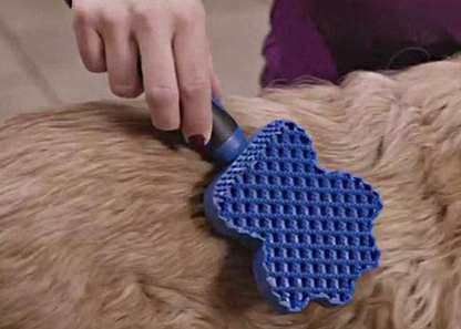 Multifunctional Silicone Dog Brush With Massage Function For Gentle Coat Care