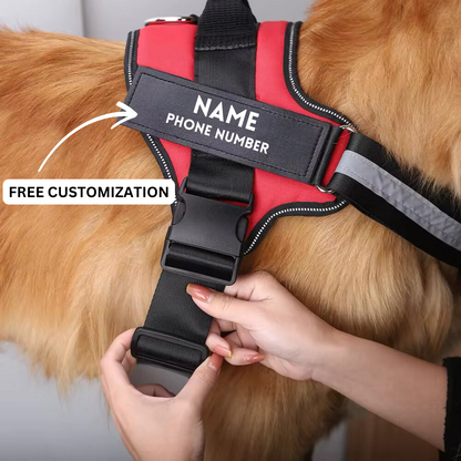 Personalized No-Pull Dog Harness