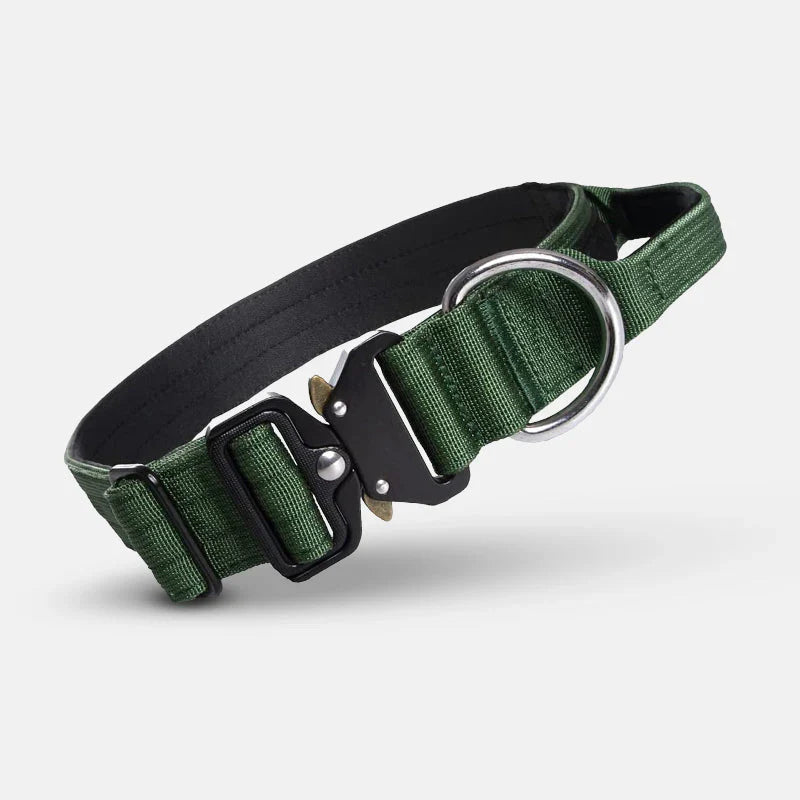 Dog Collar with Handle for Control