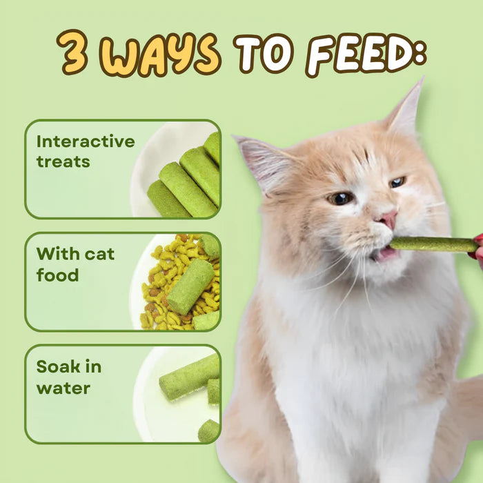 Cat grass sticks for better digestion and healthy teeth