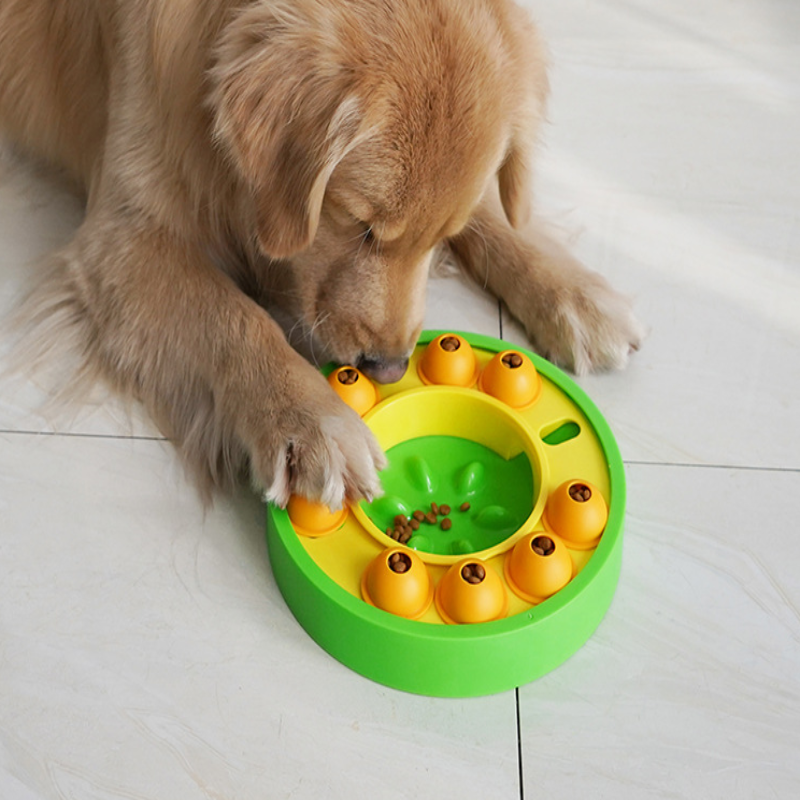 Puzzle Activity Food Station