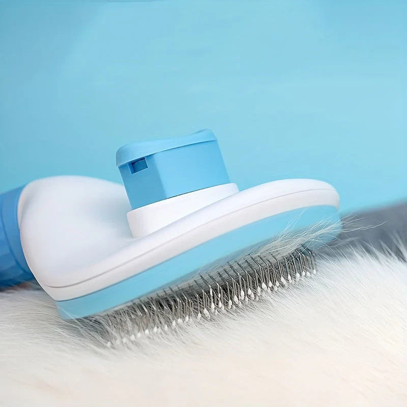 Practical and Simple Hair Removal Brush