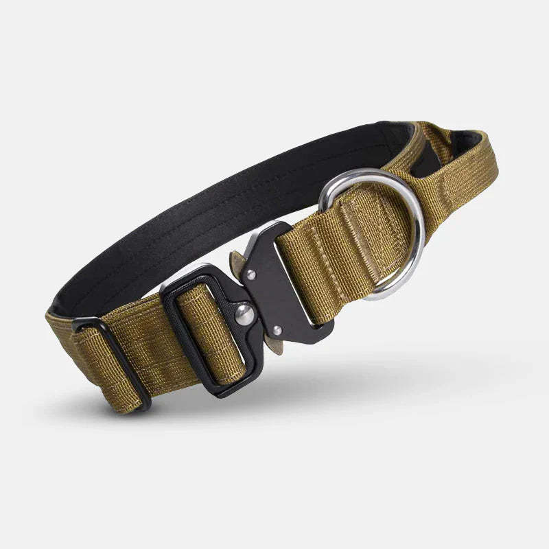 Dog Collar with Handle for Control