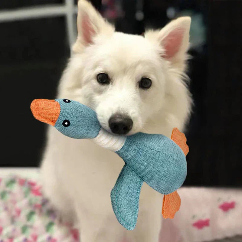 Durable Dog Toy (2 for 1 Offer)