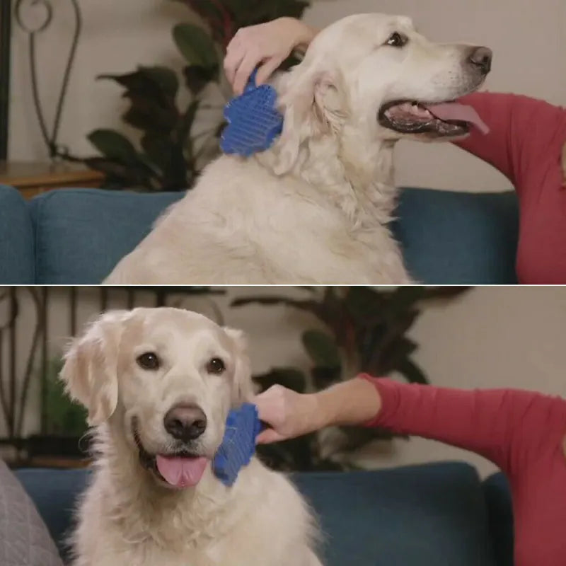 Multifunctional Silicone Dog Brush With Massage Function For Gentle Coat Care