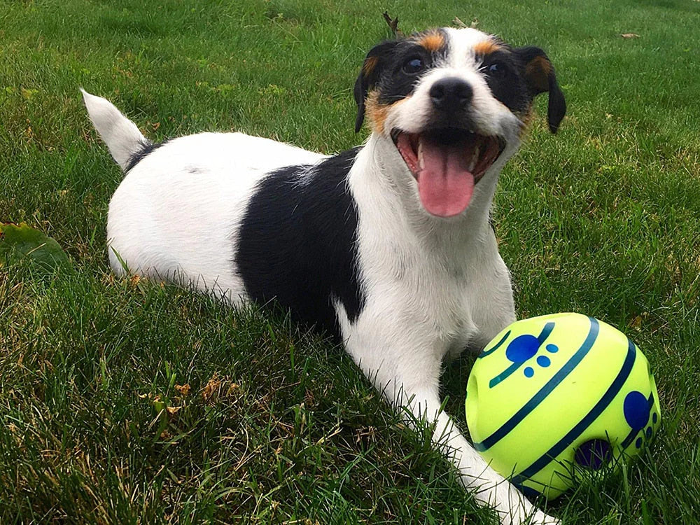 Creative Dog Play Ball With Interactive Functions