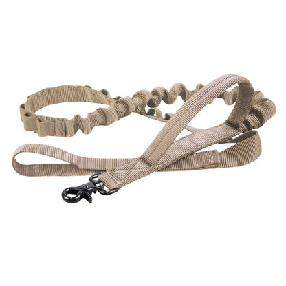 Adjustable Nylon Dog Collar With Robust Click Fastener