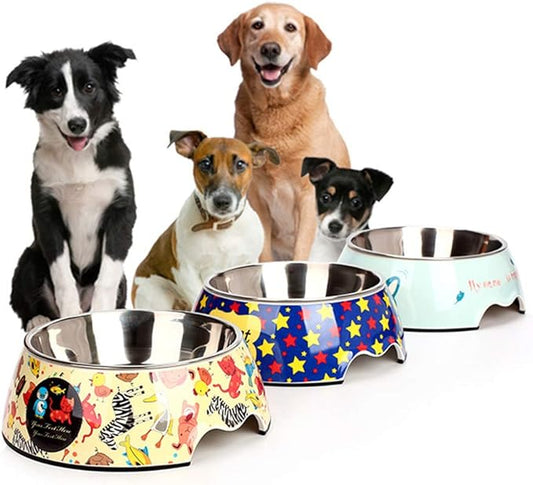 Colourful Pet Food Bowls - With Stainless Steel And Fun Patterns