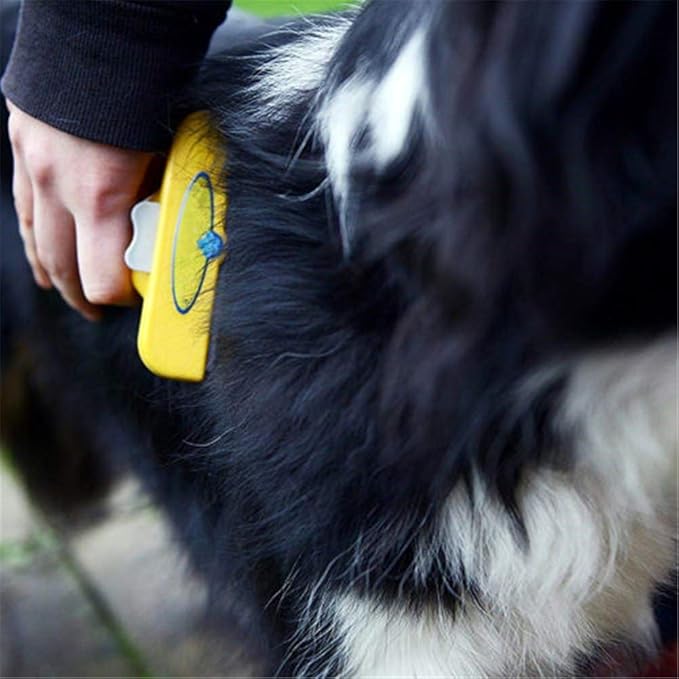Flea and Lice Comb for Dogs and Cats