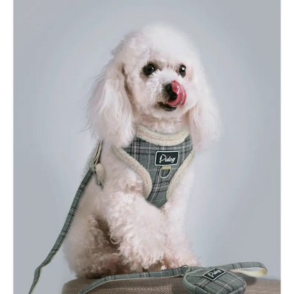 Cosy Dog Harness In Chequered Pattern With Lead - With Practical Dog Bag For Walks