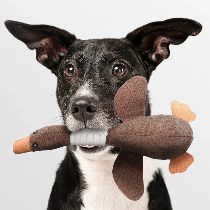 Durable Dog Toy (2 for 1 Offer)