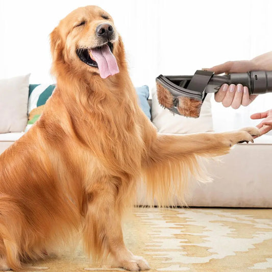 Pet Hair Brush Attachment - Vacuum Cleaner Attachment For Pet Care And Coat Cleaning