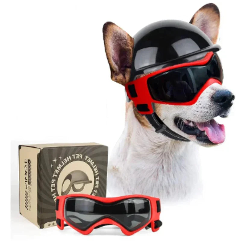 Stylish Dog Helmet with Goggles