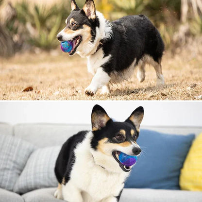Durable Chew Ball For Dogs
