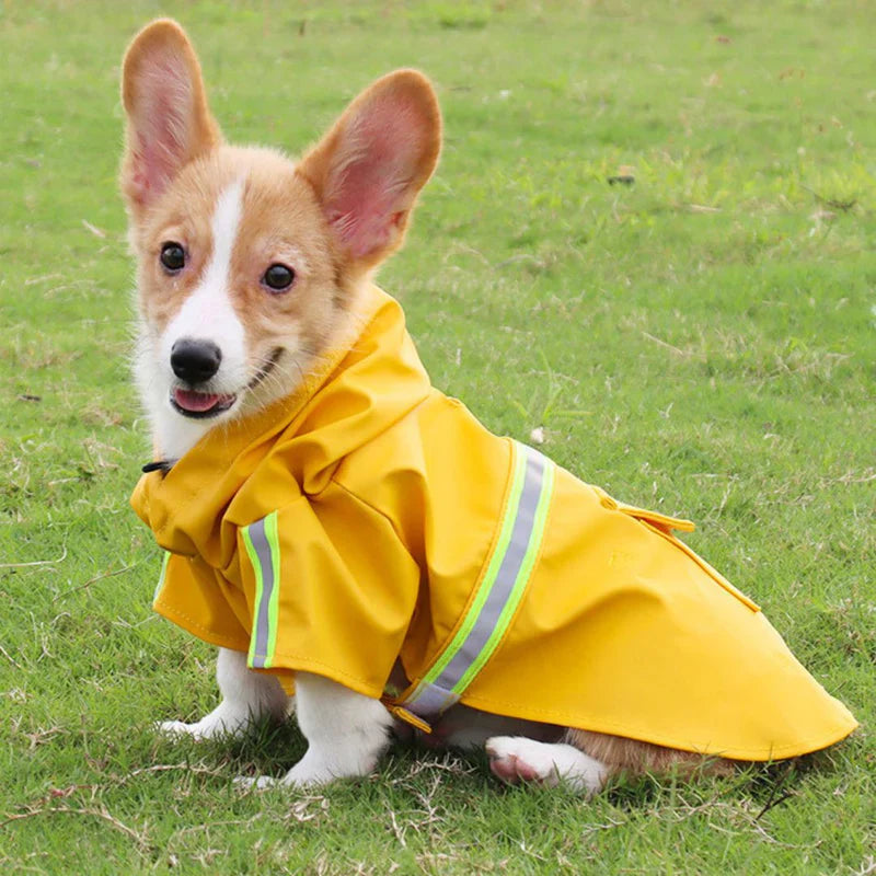 Waterproof Dog Jacket - Storm Guard