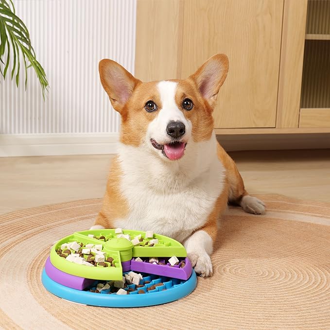 Activity Feeding Bowl with Multiple Levels