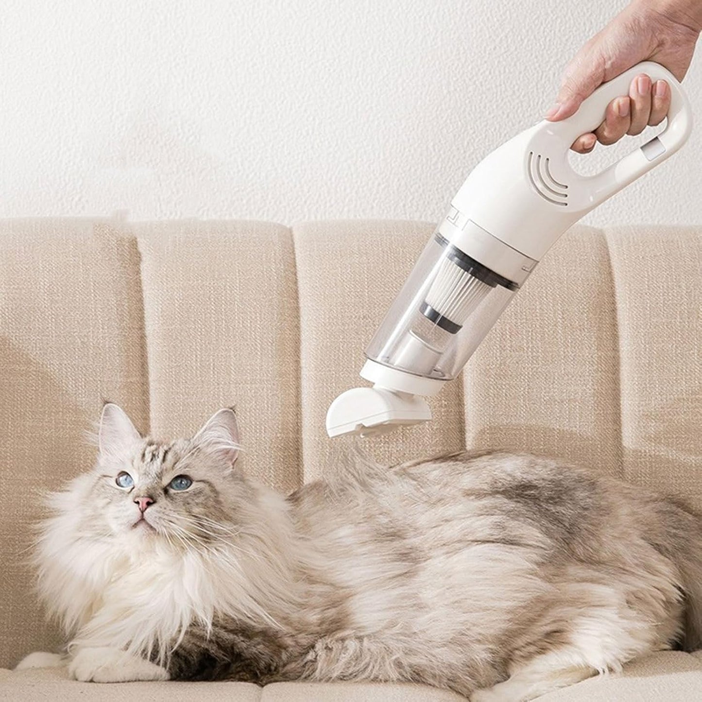 Cordless Pet Hair Hoover for Sofa and Carpet with Powerful Suction