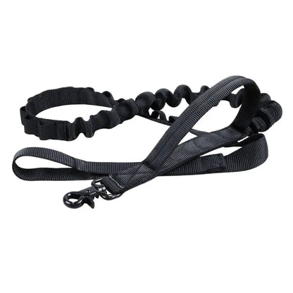 Adjustable Nylon Dog Collar With Robust Click Fastener