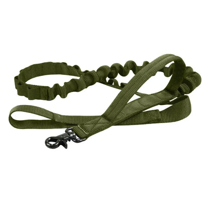 Adjustable Nylon Dog Collar With Robust Click Fastener