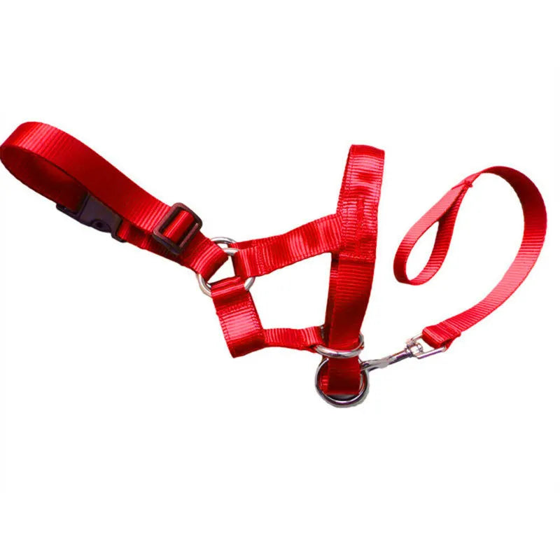Adjustable Dog Harness With Lead - Comfortable Halter For Small And Medium-sized Dogs
