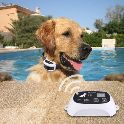 Rechargeable Wireless Dog Fence Training System Ip67 Waterproof