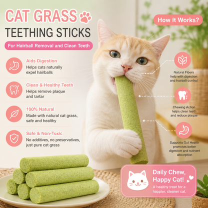Cat Grass Teething Sticks for Hairball Removal and Clean Teeth