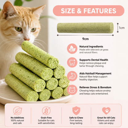 Cat Grass Teething Sticks for Hairball Removal and Clean Teeth