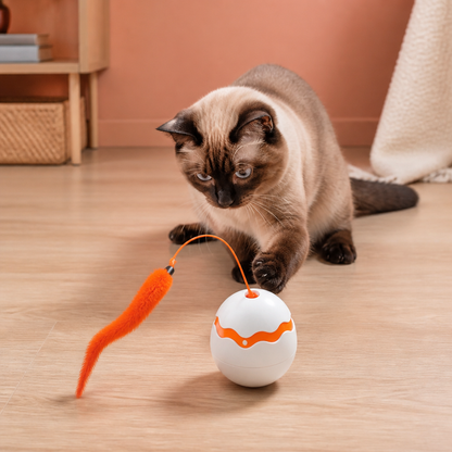 Interactive Wobble Egg Cat Toy – Automatic Feather Teaser