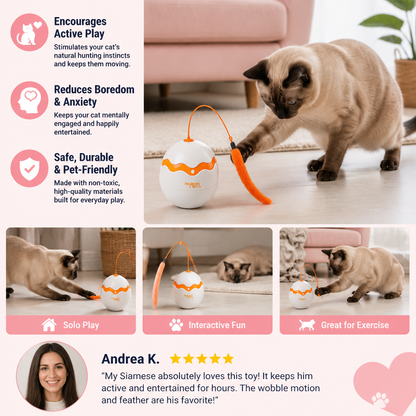 Interactive Wobble Egg Cat Toy – Automatic Feather Teaser