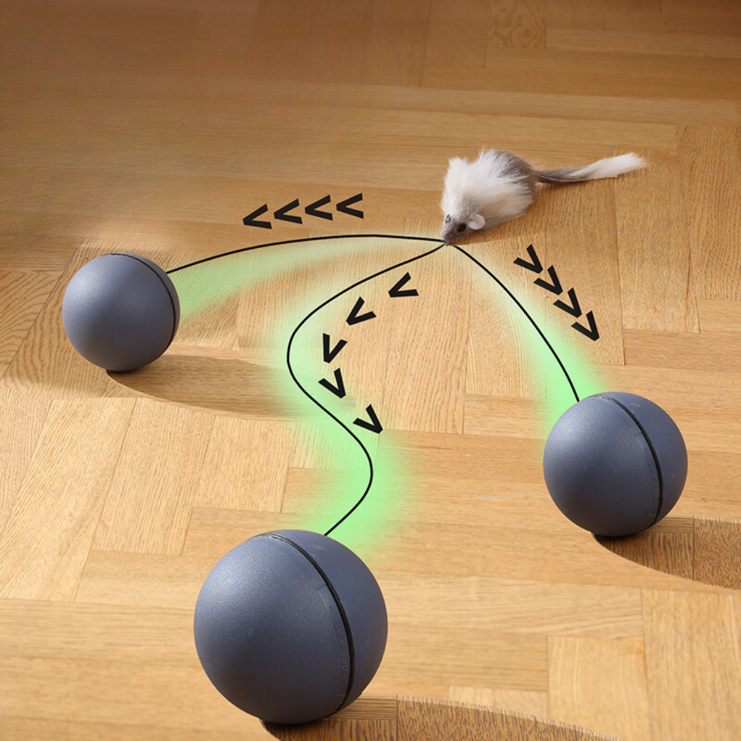 Cat Turbo Ball with Tail Toy