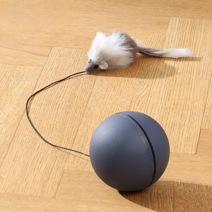 Cat Turbo Ball with Tail Toy