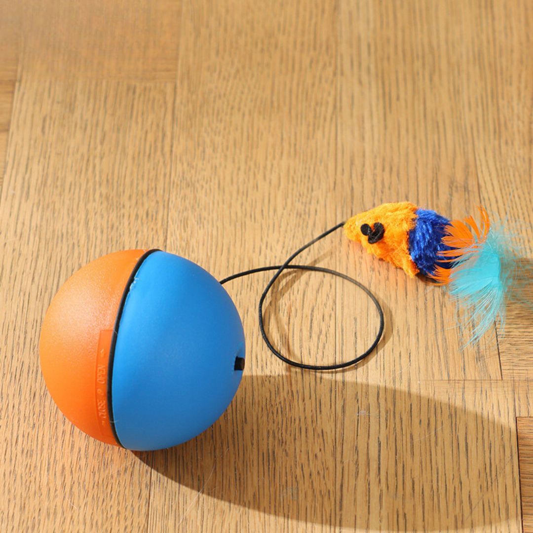 Cat Turbo Ball with Tail Toy