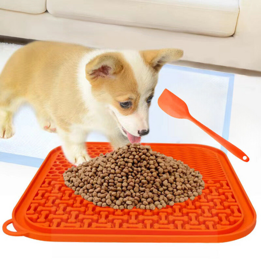 Dog Activity Lick Mat