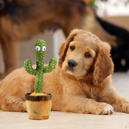 Talking Cactus for Dog