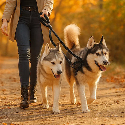 Anti-Tangle Double Dog Leash
